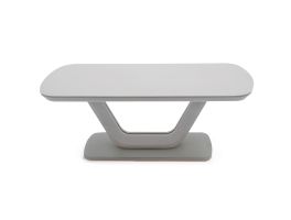 Camaro Coffee Table (Light Grey Matt)