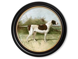 Gun Dogs 1881 Pointer Framed Picture